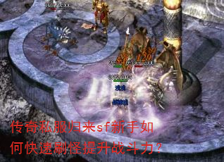 ����˽������sf������ο���ˢ������ս������