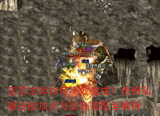 ��̬��ʦ��θ�Ч�ٳɣ�����˽�����ܼӵ���װ������ȫ����