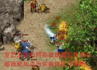 ��̬��ʦ��θ�Ч�ٳɣ�����˽�����ܼӵ���װ������ȫ����