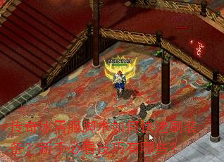 传奇冰雪服脚本如何快速刷装备?新手必看技巧有哪些? 传奇冰雪服脚本如何快速刷装备?新手必看技巧有哪些?