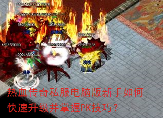 ��Ѫ����˽�����԰�������ο�������������PK���ɣ�