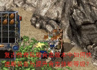 ���Ŵ���˽���ϻ��汾����ο���ˢװ���������ϻ����ܵȼ���