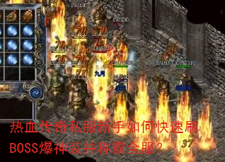 ��Ѫ����˽��������ο���ˢBOSS����װ���ư�ȫ����