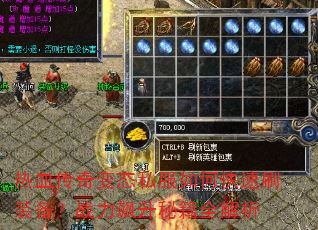 ��Ѫ�����̬˽����ο���ˢװ����ս������ؼ�ȫ����