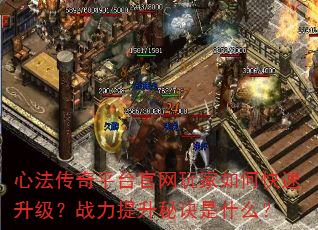 �ķ�����ƽ̨���������ο���������ս�������ؾ���ʲô��