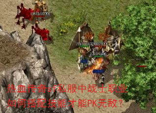 ��Ѫ����sf˽����սʿְҵ��δ��似�ܲ���PK�޵У�