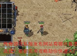 ������Ϸ˽��������վ����Щ����ѡ������ʵ�ù��������������