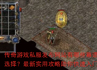 ������Ϸ˽��������վ����Щ����ѡ������ʵ�ù��������������