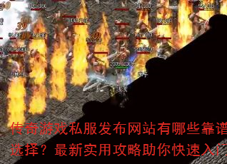 ������Ϸ˽��������վ����Щ����ѡ������ʵ�ù��������������