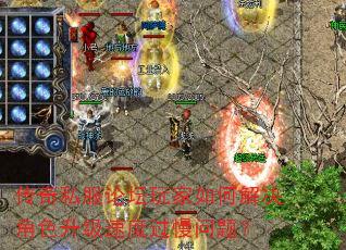 ����˽����̳�����ν����ɫ�����ٶȹ������⣿