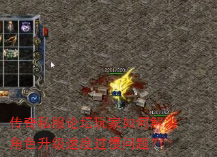 ����˽����̳�����ν����ɫ�����ٶȹ������⣿