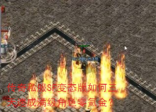 ����˽��SF��̬����������ٳ�������ɫ��봽�