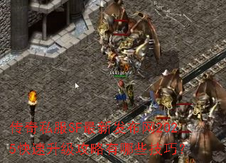 ����˽��SF���·�����2025����������������Щ���ɣ�