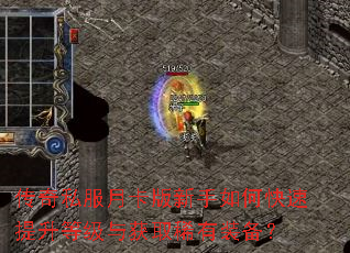 ����˽���¿���������ο��������ȼ����ȡϡ��װ����