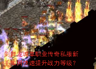 �������ǵ�ְҵ����˽��������ο�������ս���ȼ���