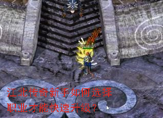 ���������������ѡ��ְҵ���ܿ���������