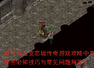 �¿��ϻ���̬�洫����Ϸ����������Щ��֪�����볣��������