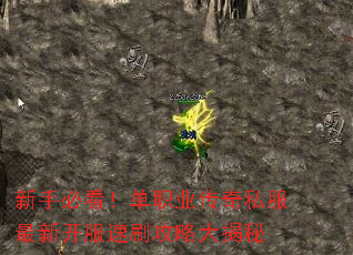 ���ֱؿ�����ְҵ����˽�����¿�����ˢ���Դ����