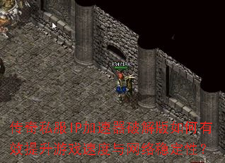 ����˽��IP�������ƽ�������Ч������Ϸ�ٶ��������ȶ��ԣ�