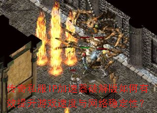 ����˽��IP�������ƽ�������Ч������Ϸ�ٶ��������ȶ��ԣ�