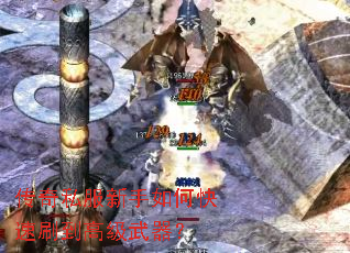 ����˽��������ο���ˢ���߼�������