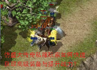 ��ʢ����˽�������ο��ٻ�ȡ�߼�װ��������ս����