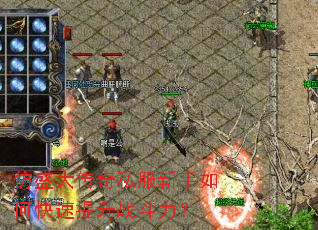 ��ʢ����˽��������ο�������ս������