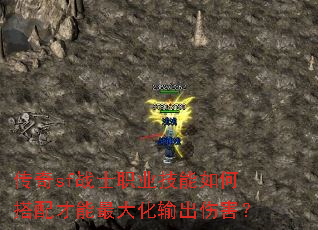 ����sfսʿְҵ������δ�������������˺���