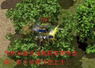 ����˽�������̳�����Щ���裿������ο������֣�