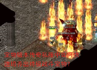 ����汾����˽������ο����������ռ�ս�����