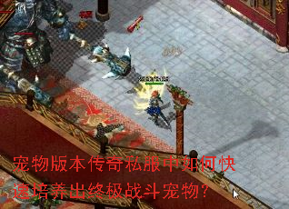 ����汾����˽������ο����������ռ�ս�����