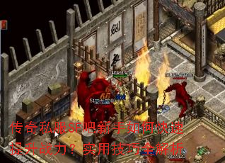 ����˽��SF��������ο�������ս����ʵ�ü���ȫ����