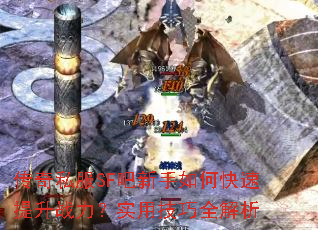 ����˽��SF��������ο�������ս����ʵ�ü���ȫ����