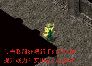 ����˽��SF��������ο�������ս����ʵ�ü���ȫ����