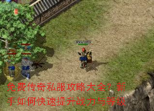 ��Ѵ���˽�����Դ�ȫ��������ο�������ս����ȼ�