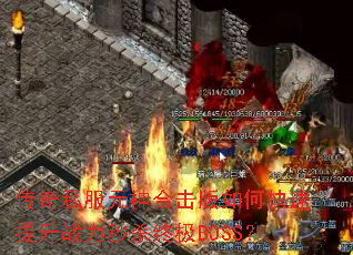 ����˽��Ԫ��ϻ�����ο�������ս����ɱ�ռ�BOSS��