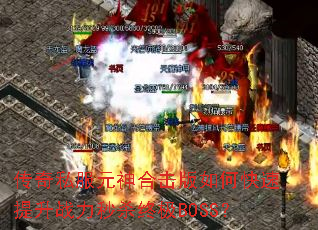 ����˽��Ԫ��ϻ�����ο�������ս����ɱ�ռ�BOSS��