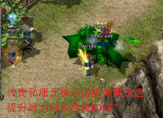 ����˽��Ԫ��ϻ�����ο�������ս����ɱ�ռ�BOSS��