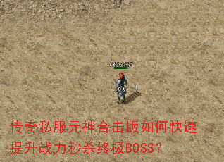 ����˽��Ԫ��ϻ�����ο�������ս����ɱ�ռ�BOSS��