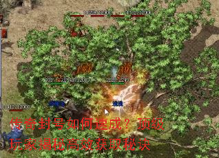 ����������ٳɣ�������ҽ��ظ�Ч��ȡ�ؾ�