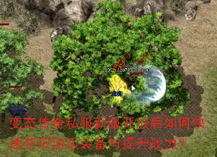 ��̬����˽���·����ź���ο��ٻ�ȡ����װ��������ս����