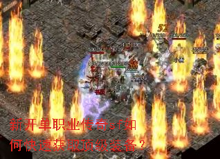 �¿���ְҵ����sf��ο��ٻ�ȡ����װ����