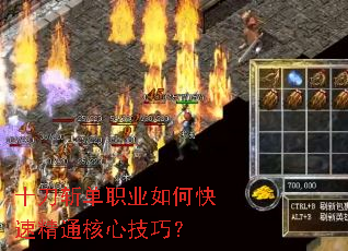 十刀斩单职业如何快速精通核心技巧? 十刀斩单职业如何快速精通核心技巧?