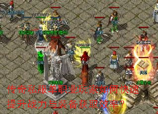 ����˽����ְҵ�����ο�������ս����װ����ȡЧ�ʣ�