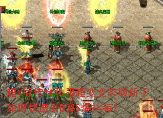 ��V�洫��˽�������̬��������ο���ˢBOSS����װ��