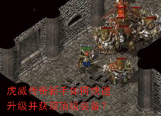 ��������������ο�����������ȡ����װ����