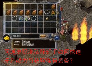 ��ͨ��ְҵ˽��������ο�������ս�����ȡϡ��װ����