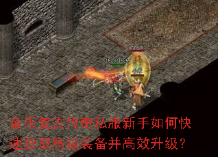 ��Ҹ��Ŵ���˽��������ο��ٻ�ȡ�߼�װ������Ч������