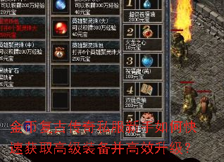 ��Ҹ��Ŵ���˽��������ο��ٻ�ȡ�߼�װ������Ч������