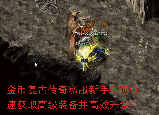 ��Ҹ��Ŵ���˽��������ο��ٻ�ȡ�߼�װ������Ч������